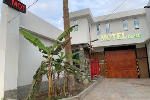 Motel Los Olivos